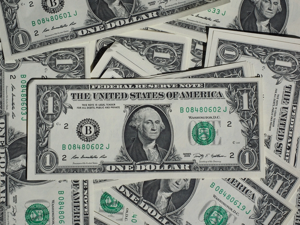 American dollar, money & banking